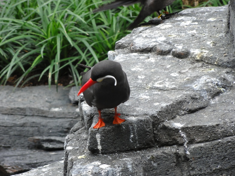DSC00913.JPG